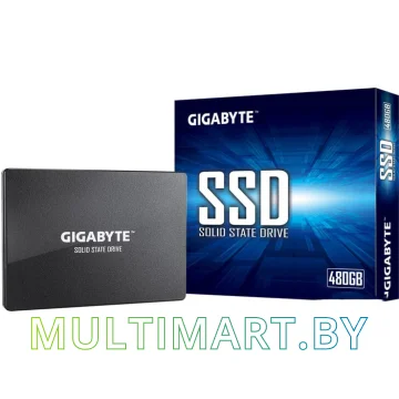 SSD диск Gigabyte 1TB (GP-GSTFS31100TNTD) картинка 4
